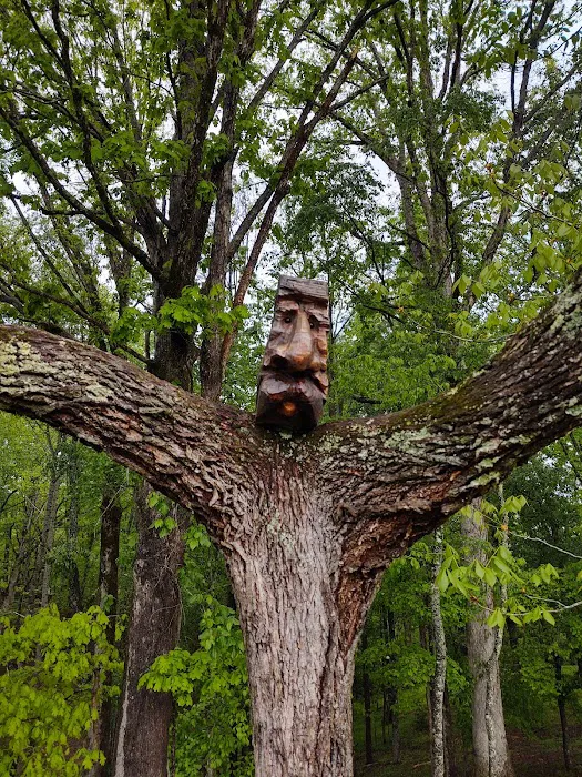 Rolling Meadows Family Campground Picture 10