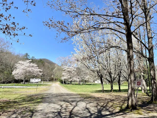 J & J's Getaway Campground & RV Park Picture 7