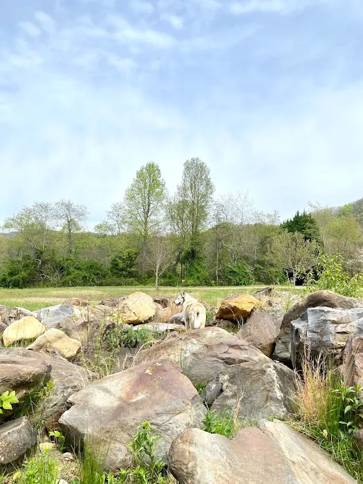 J & J's Getaway Campground & RV Park Picture 5