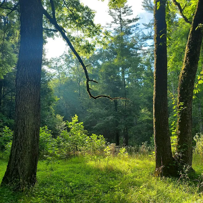 Upper Chattahoochee River Campground Picture 2