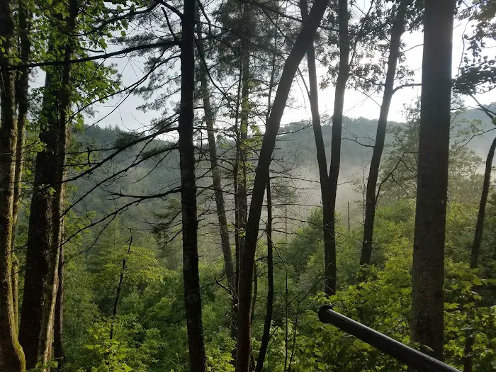 Upper Chattahoochee River Campground Picture 6