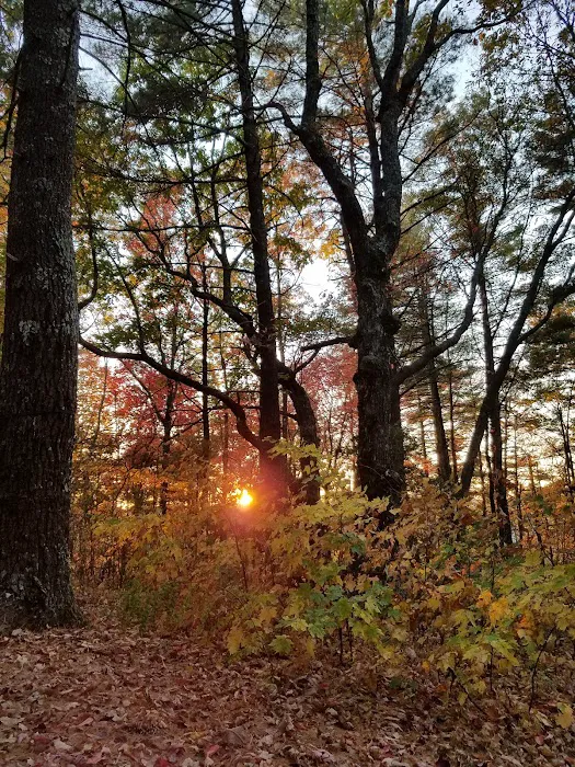 Upper Chattahoochee River Campground Picture 4