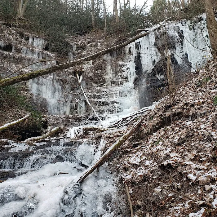 Upper Chattahoochee River Campground Picture 9