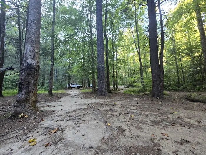 Jasus Creek Campground Picture 3