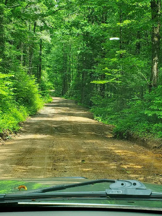 Jasus Creek Campground Picture 1