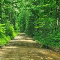 Jasus Creek Campground ico