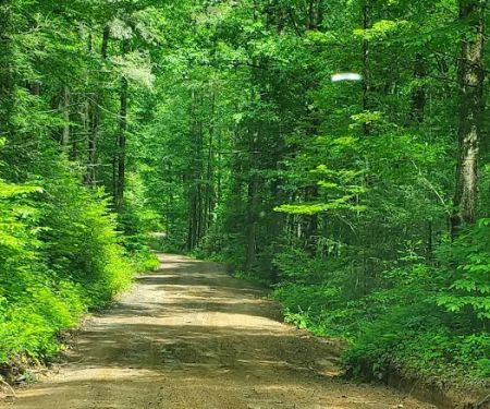 Jasus Creek Campground