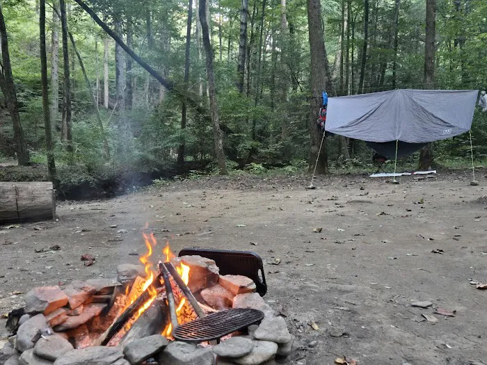 Jasus Creek Campground Picture 5