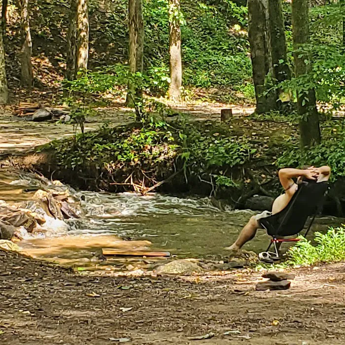 Jasus Creek Campground Picture 6