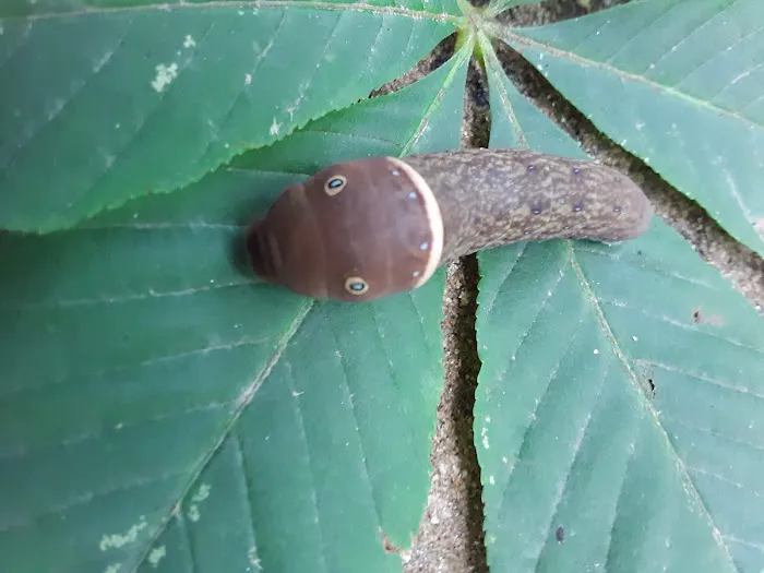 Jasus Creek Campground Picture 7