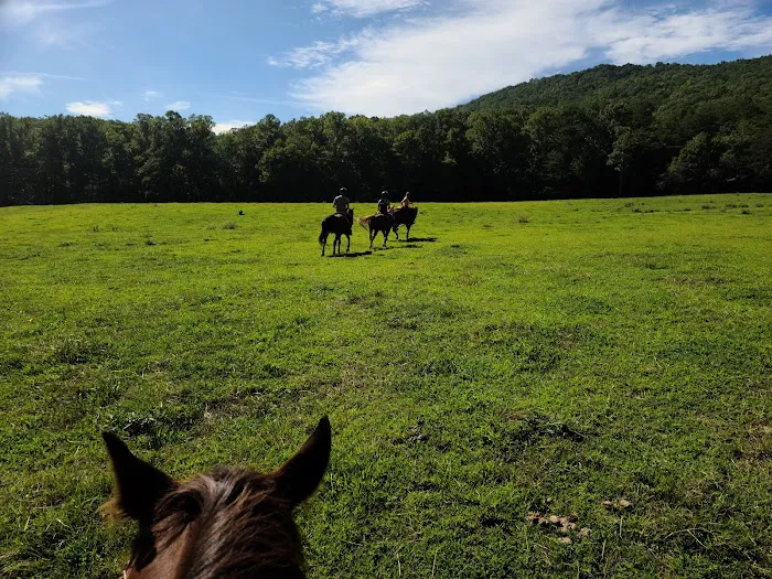 Trackrock Stables Picture 3