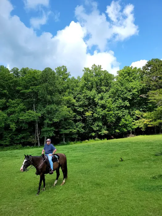 Trackrock Stables Picture 5