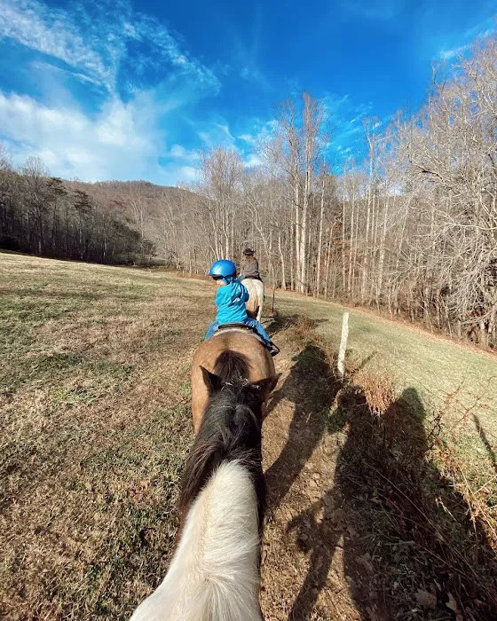 Trackrock Stables Picture 4