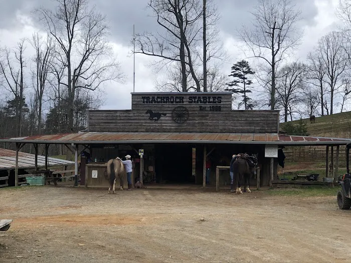 Trackrock Stables Picture 6