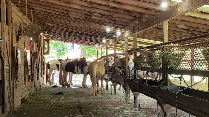 Trackrock Stables Picture 7