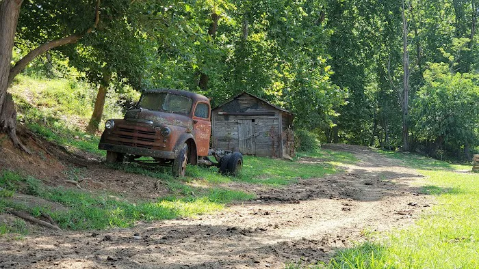 Trackrock Stables Picture 9