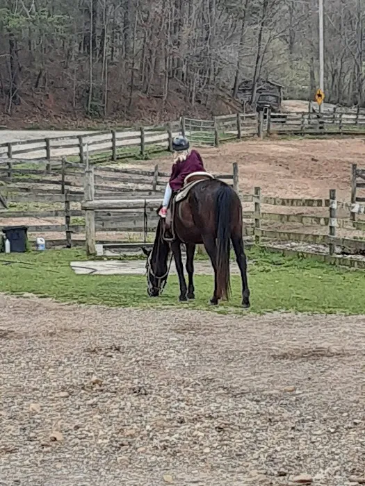 Trackrock Stables Picture 8