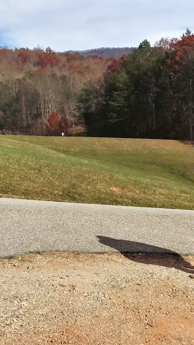 Trackrock Stables Picture 10