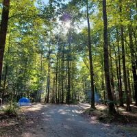 Low Gap Campground ico