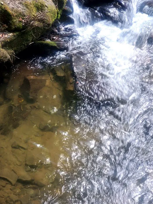 Low Gap Campground Picture 6