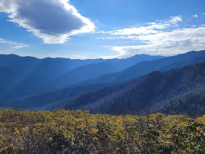 Mount LeConte Trail Shelter Picture 2