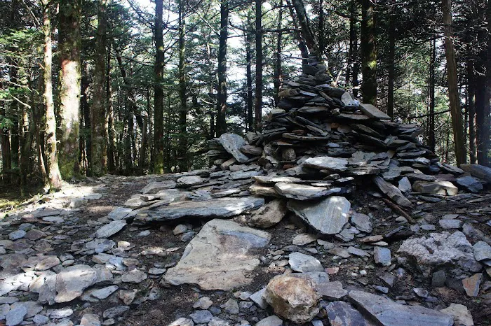 Mount LeConte Trail Shelter Picture 6