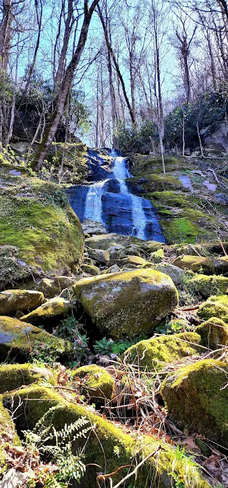 Porters Creek Trailhead Campground Picture 3