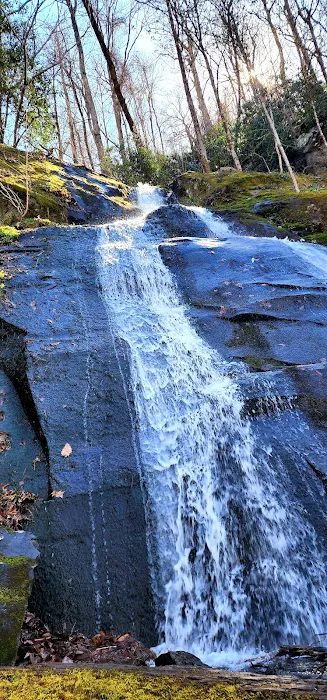 Porters Creek Trailhead Campground Picture 7