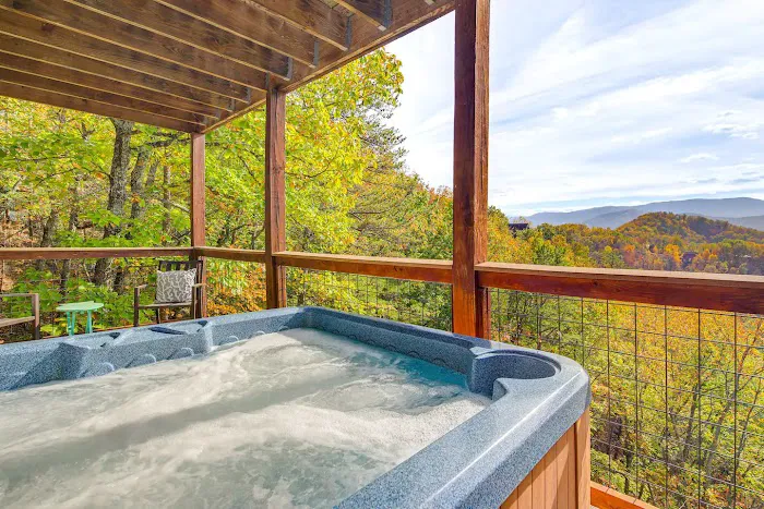 Snuggle Bear Hideaway Cabin Picture 3