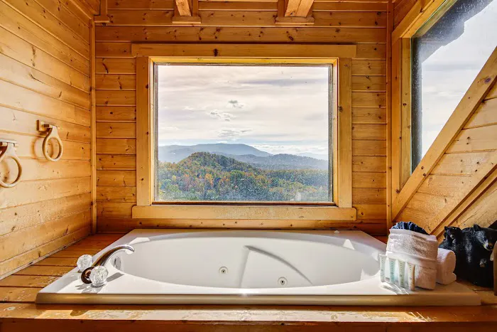 Snuggle Bear Hideaway Cabin Picture 4