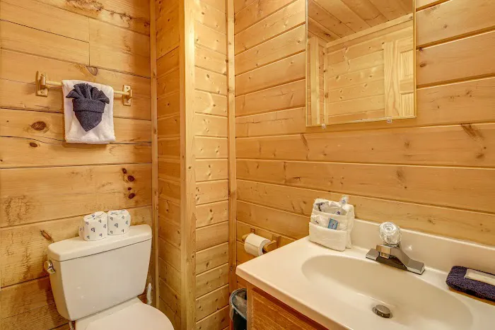 Snuggle Bear Hideaway Cabin Picture 6