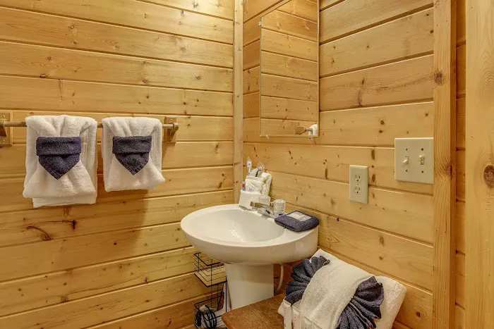 Snuggle Bear Hideaway Cabin Picture 8
