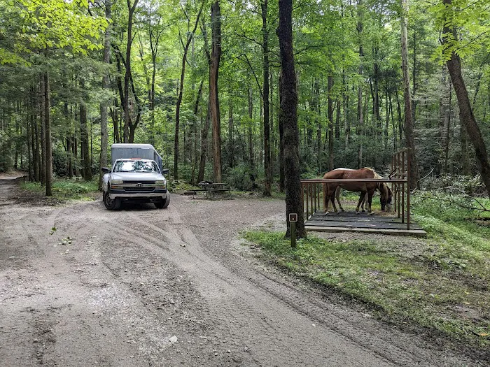 Anthony Creek Horse Camp Picture 1