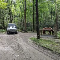 Anthony Creek Horse Camp ico