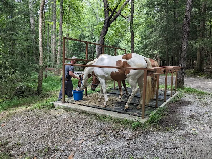 Anthony Creek Horse Camp Picture 6