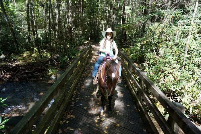 Anthony Creek Horse Camp Picture 4