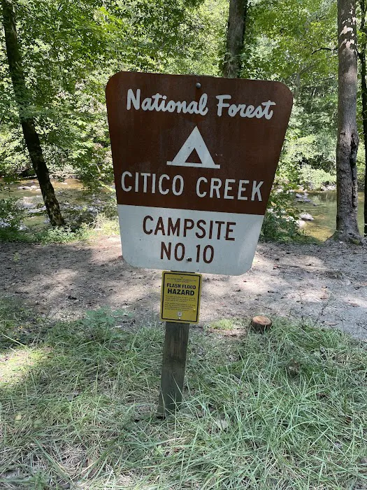 Citico Creek Campsite 9 Picture 1