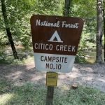 Citico Creek Campsite 9