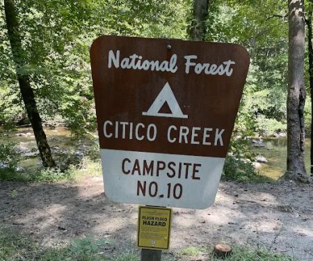 Citico Creek Campsite 9
