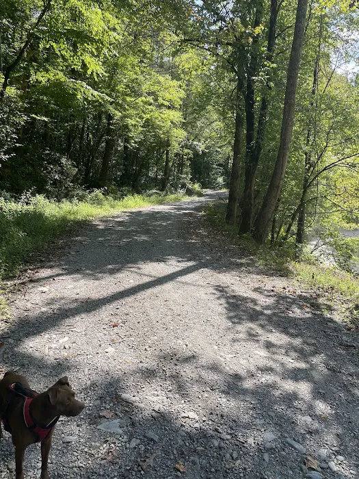 Citico Creek Campsite 9 Picture 2