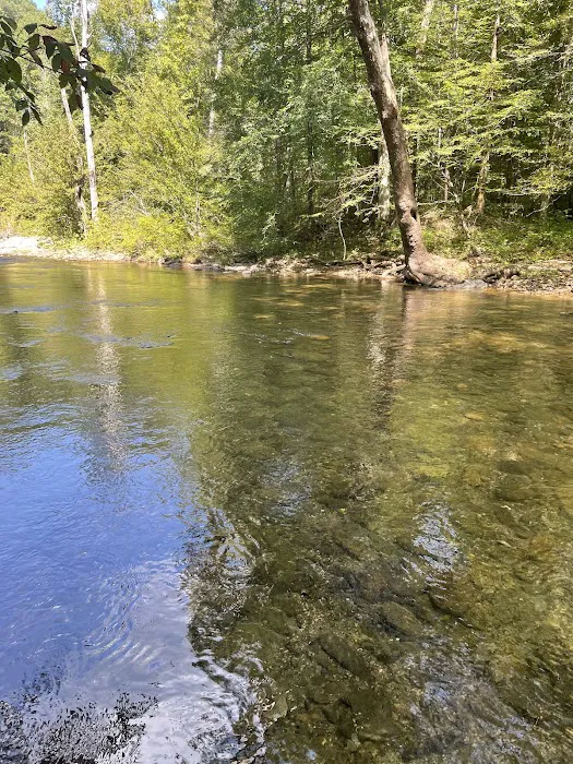 Citico Creek Campsite 9 Picture 3