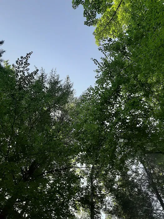 Jake Best Campground Picture 5