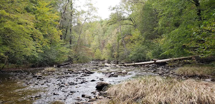 Jake Best Campground Picture 9