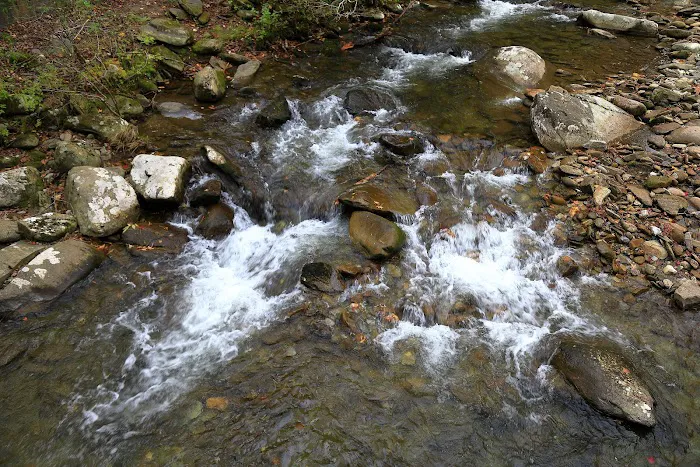 Doublecamp Campground Picture 3