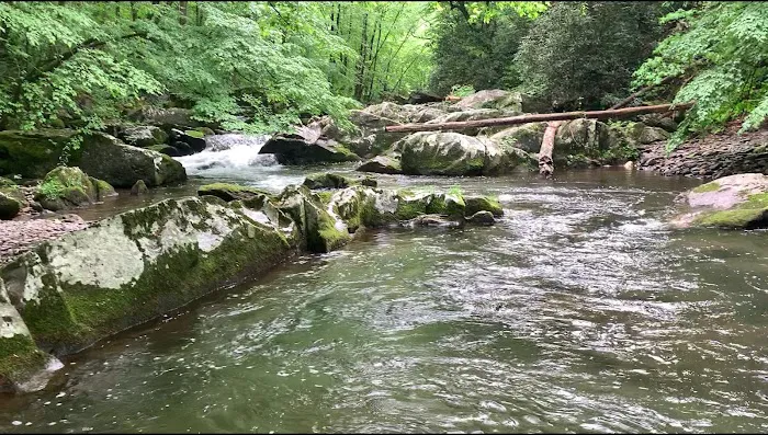 Calderwood Lake Campsite #1 Picture 2