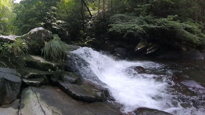 Calderwood Lake Campsite #1 Picture 6