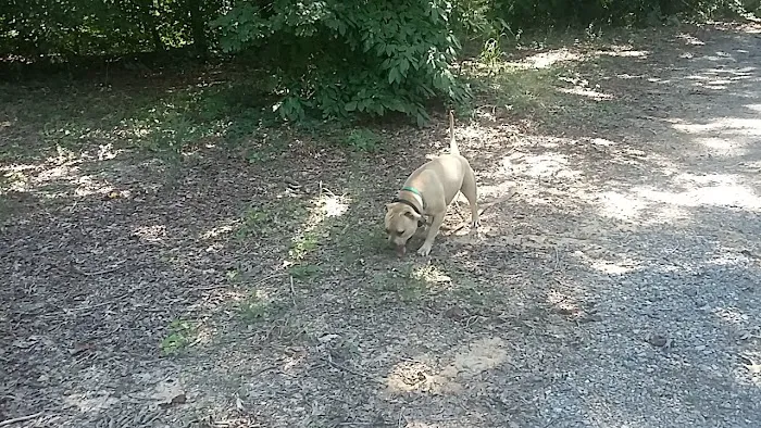 Tennessee Country Campground Picture 6