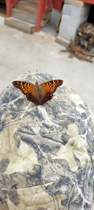 Tennessee Country Campground Picture 5