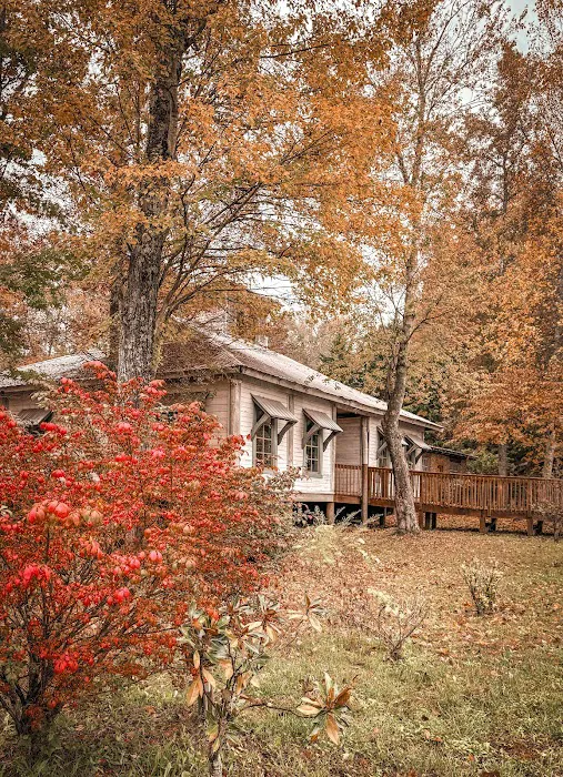 Camp Willow Picture 5