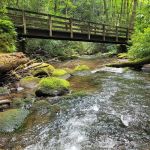 Backcountry Campsite #93